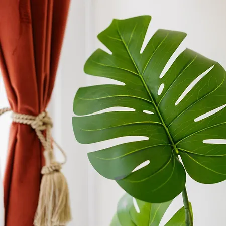 Lägenhet #artistic Flat 2br Historical Center Timişoara